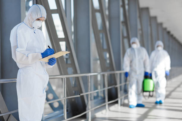 Best Asbestos and Lead Testing During Mold Inspection  in Baileyton, AL