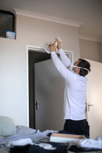 Best Mold Removal for HVAC Installations  in Baileyton, AL