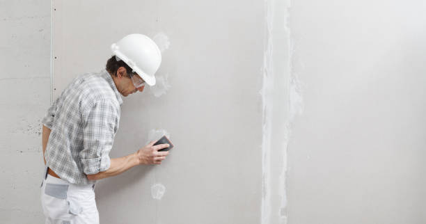 Best Basement Mold Removal  in Baileyton, AL