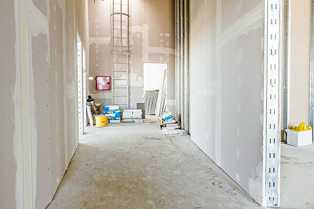 Best Forensic Mold Investigation  in Baileyton, AL